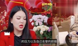 明星爆料官方回应视频播放,明星爆料视频真相揭秘